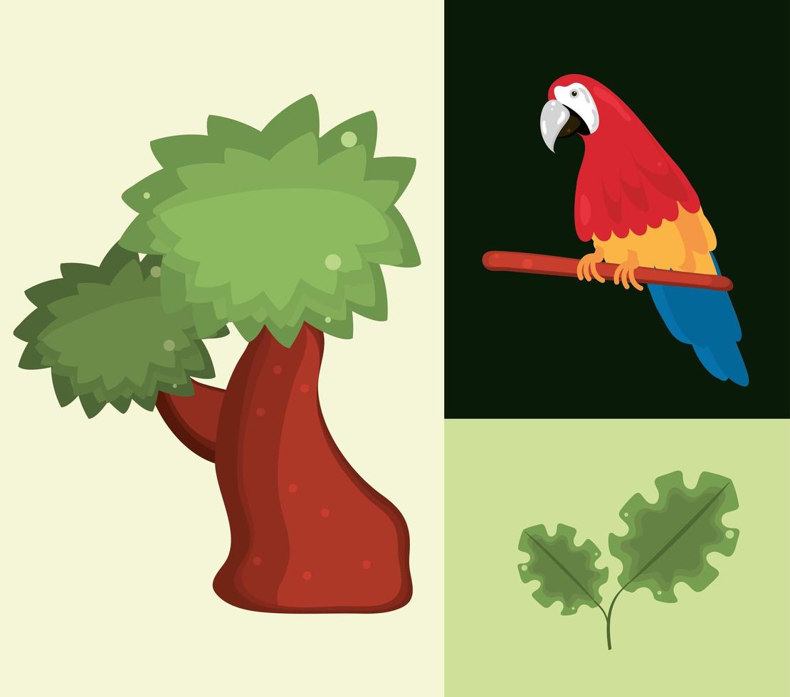 set jungle bird vector