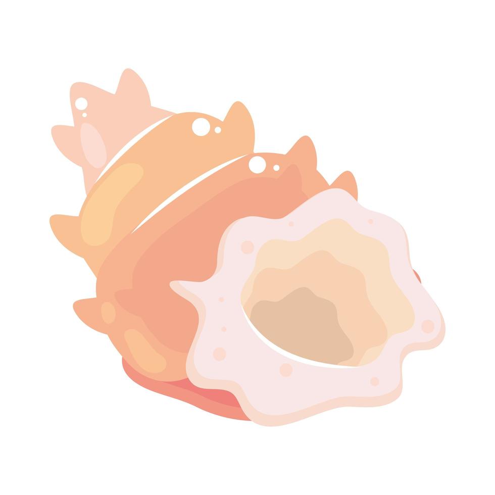shell flat icon vector