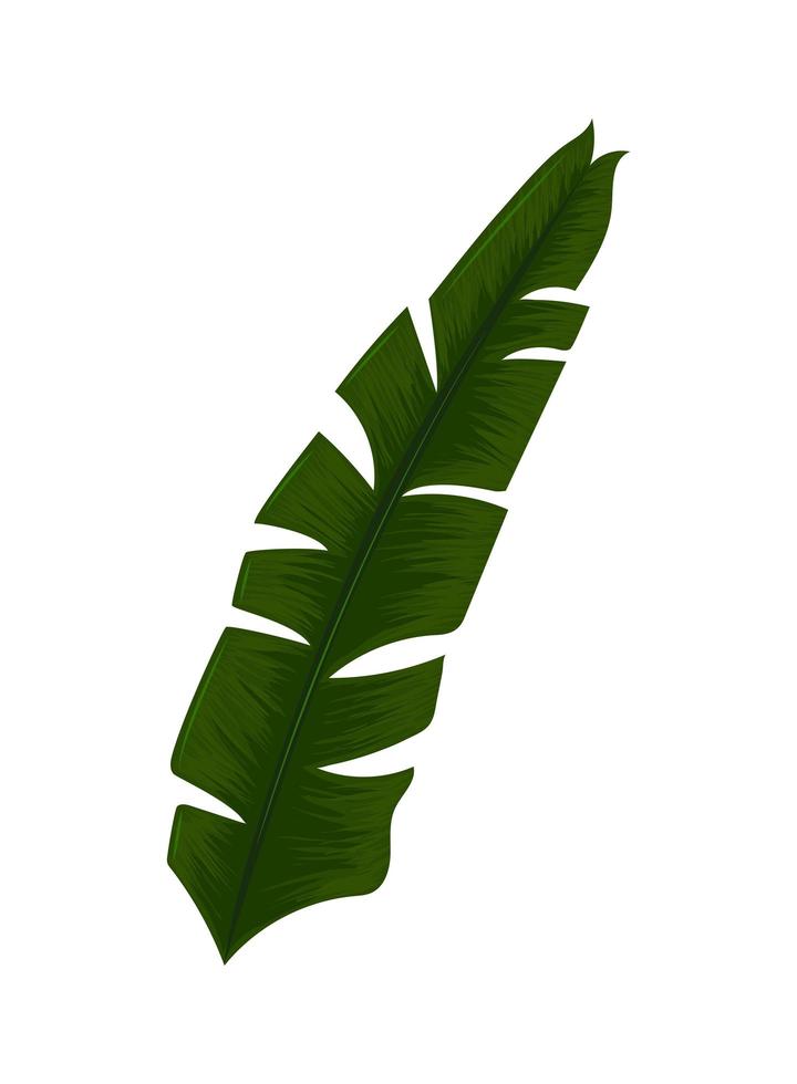 naturaleza de hoja tropical vector