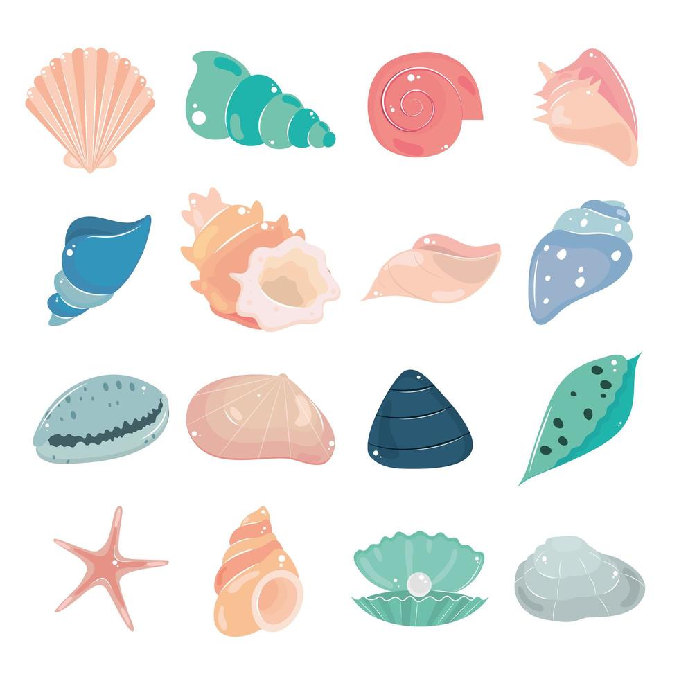 conjunto de conchas marinas vector