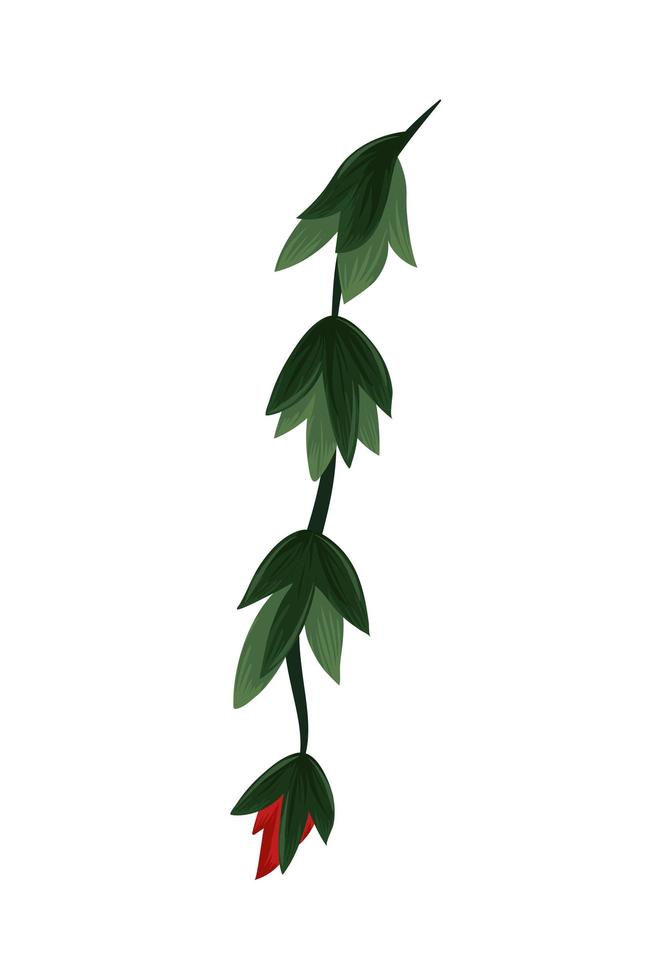 tropical flower and leaves vector