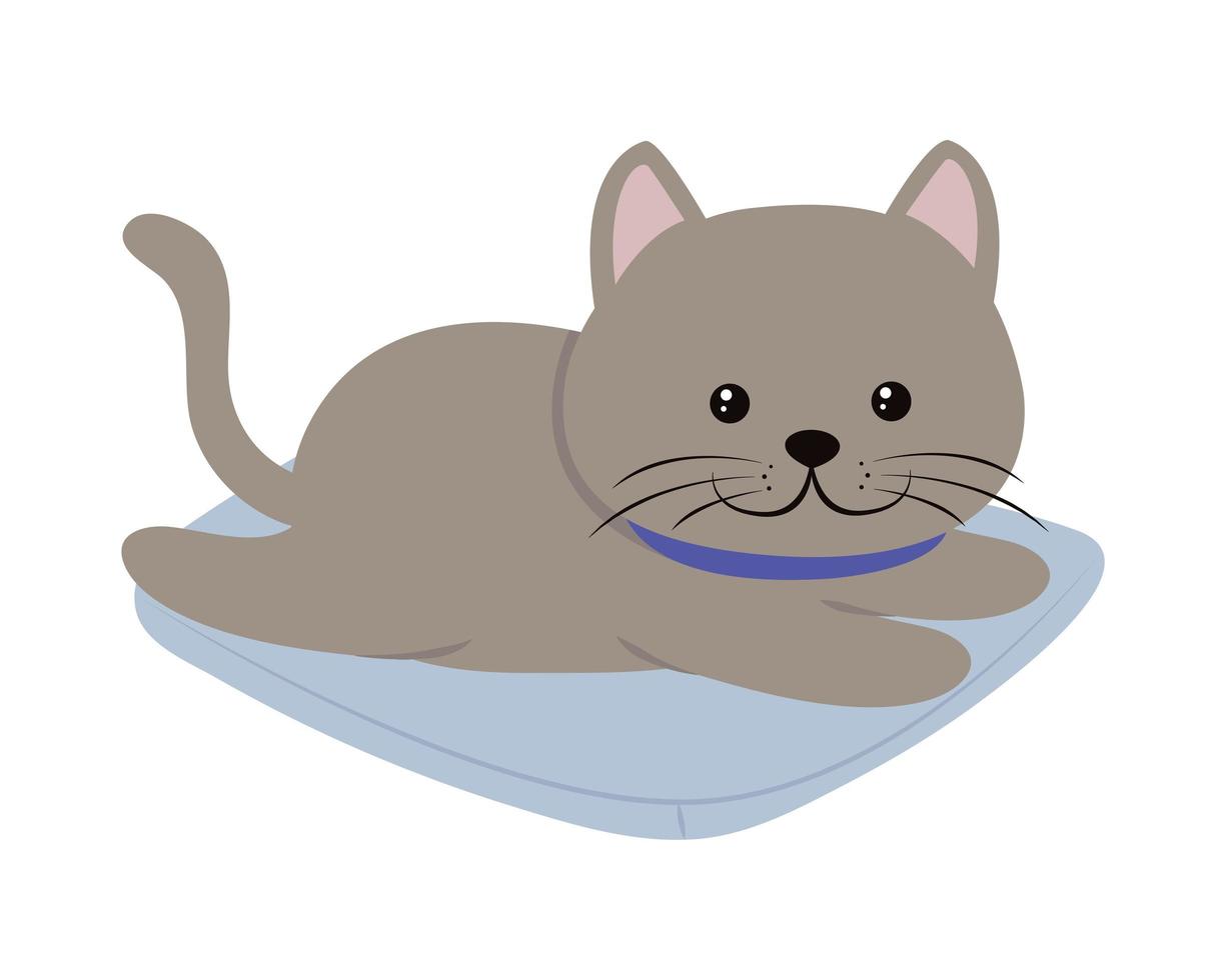 cute cat on cushion vector