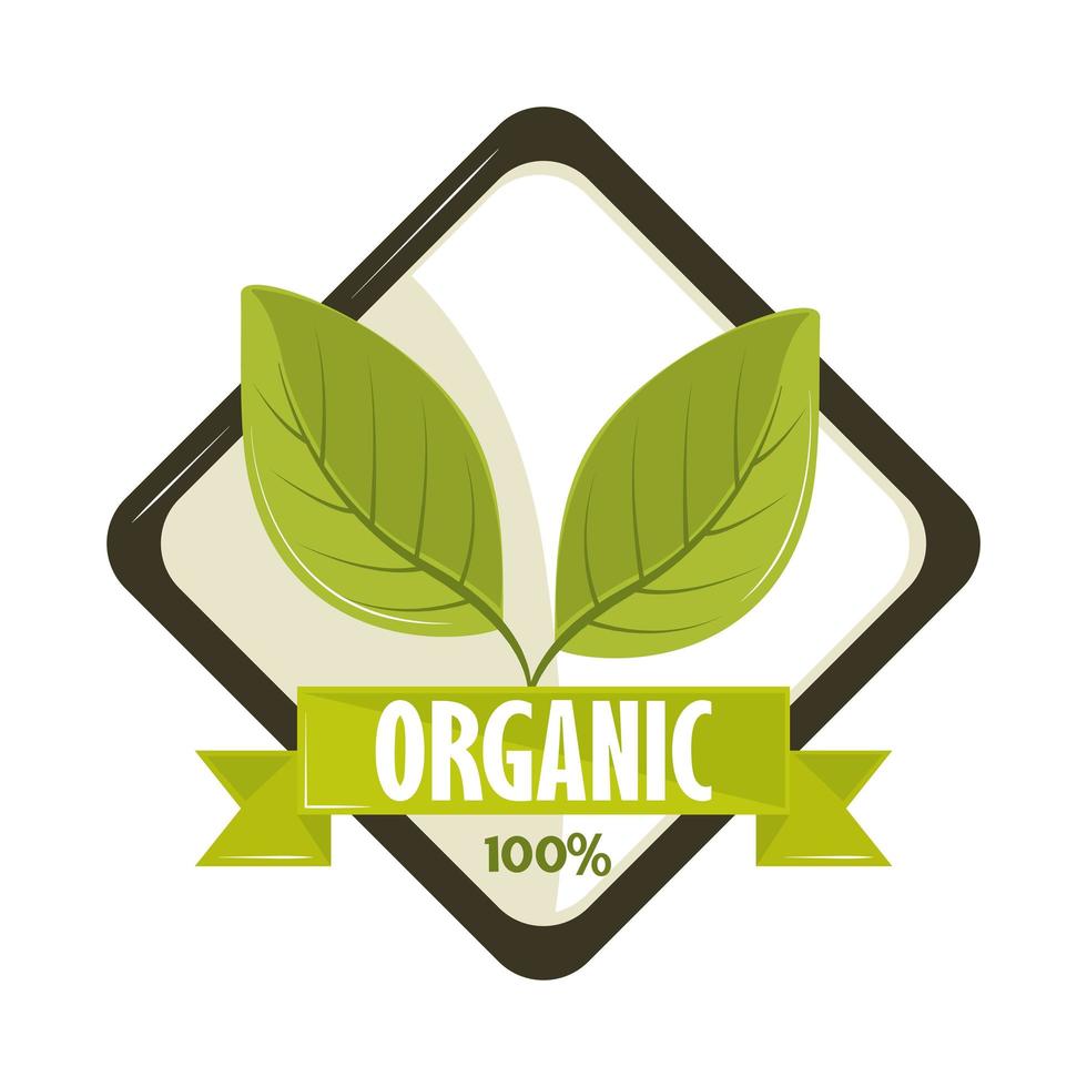 organic natural label vector