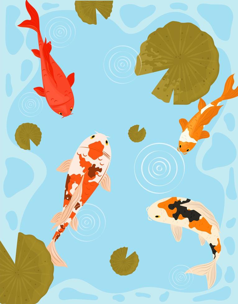 koi fishes in the water vector