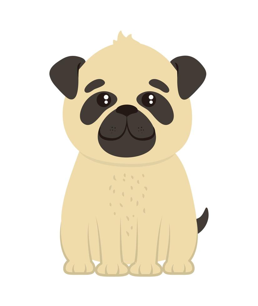 cute dog pug vector