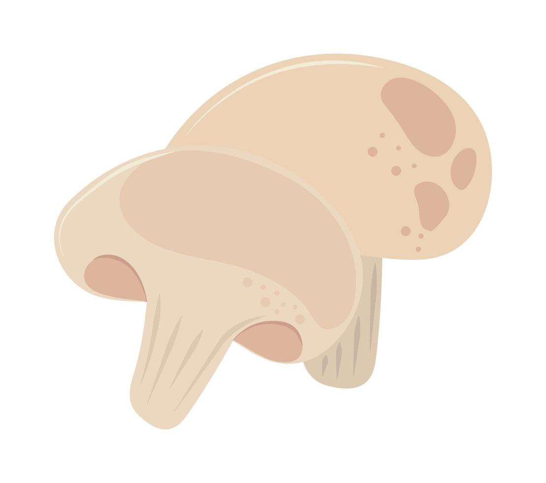 mushroom fresh icon vector