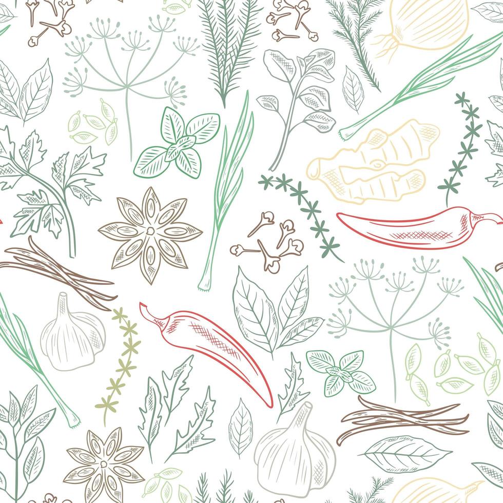 Spices, herbs and greenery seamless pattern vector