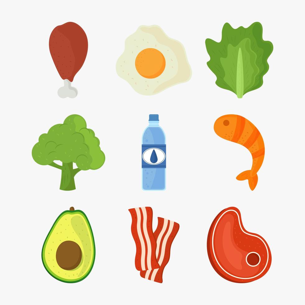 food vegetable and meat vector