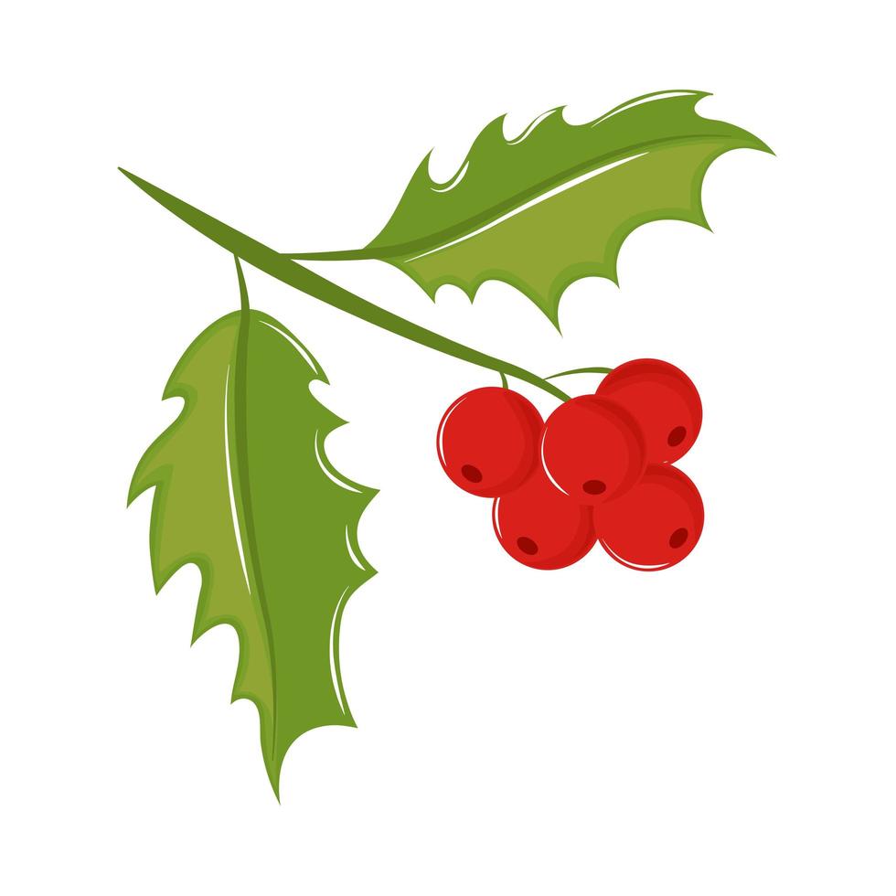 mistletoe branch berries vector