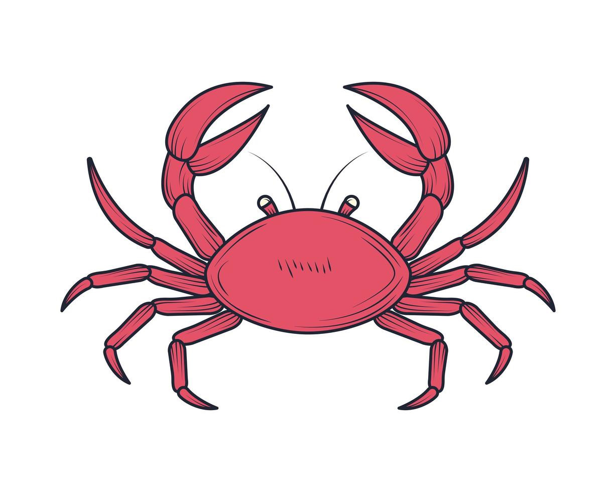 crab sea life vector