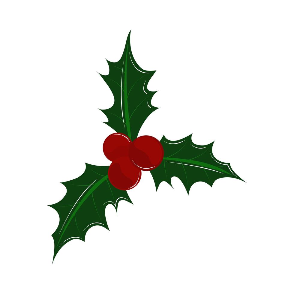 holly berry icon vector