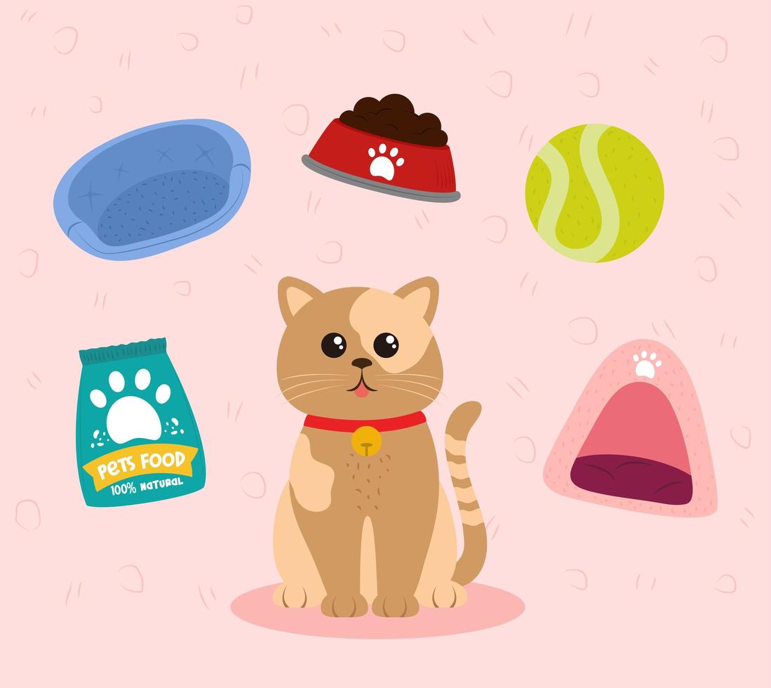 pets cat and toy vector