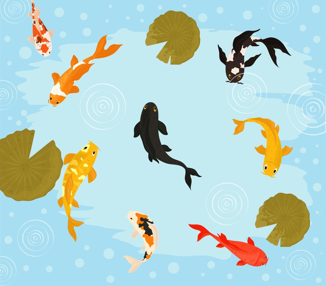 koi fishes floating vector