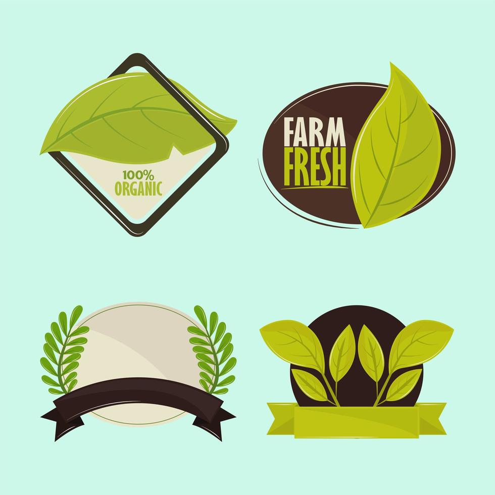 food farm fresh vector