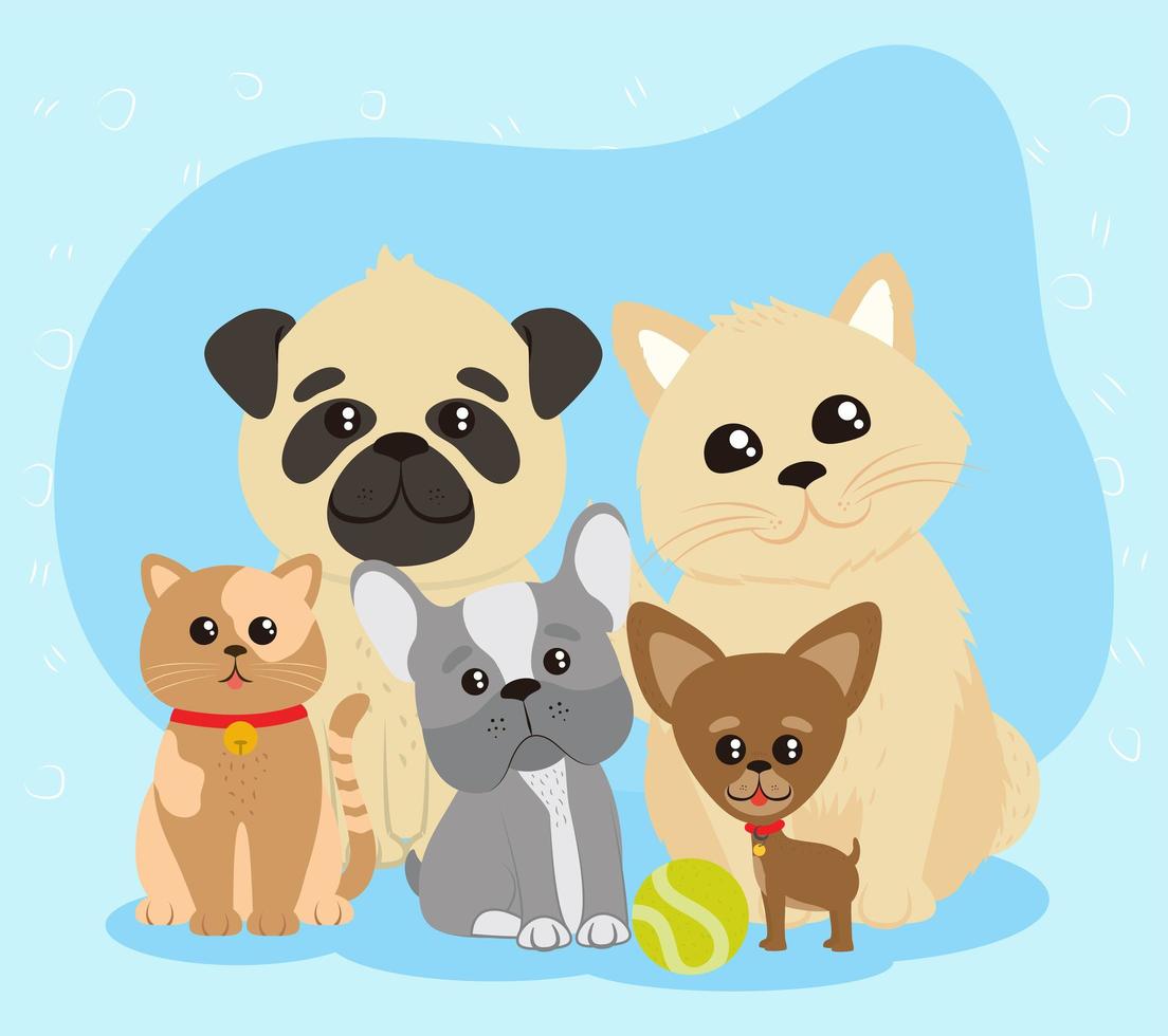 mascotas perros y gatos vector