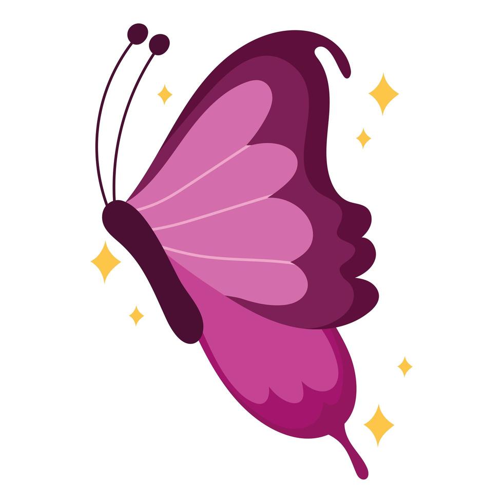 butterfly flat icon vector