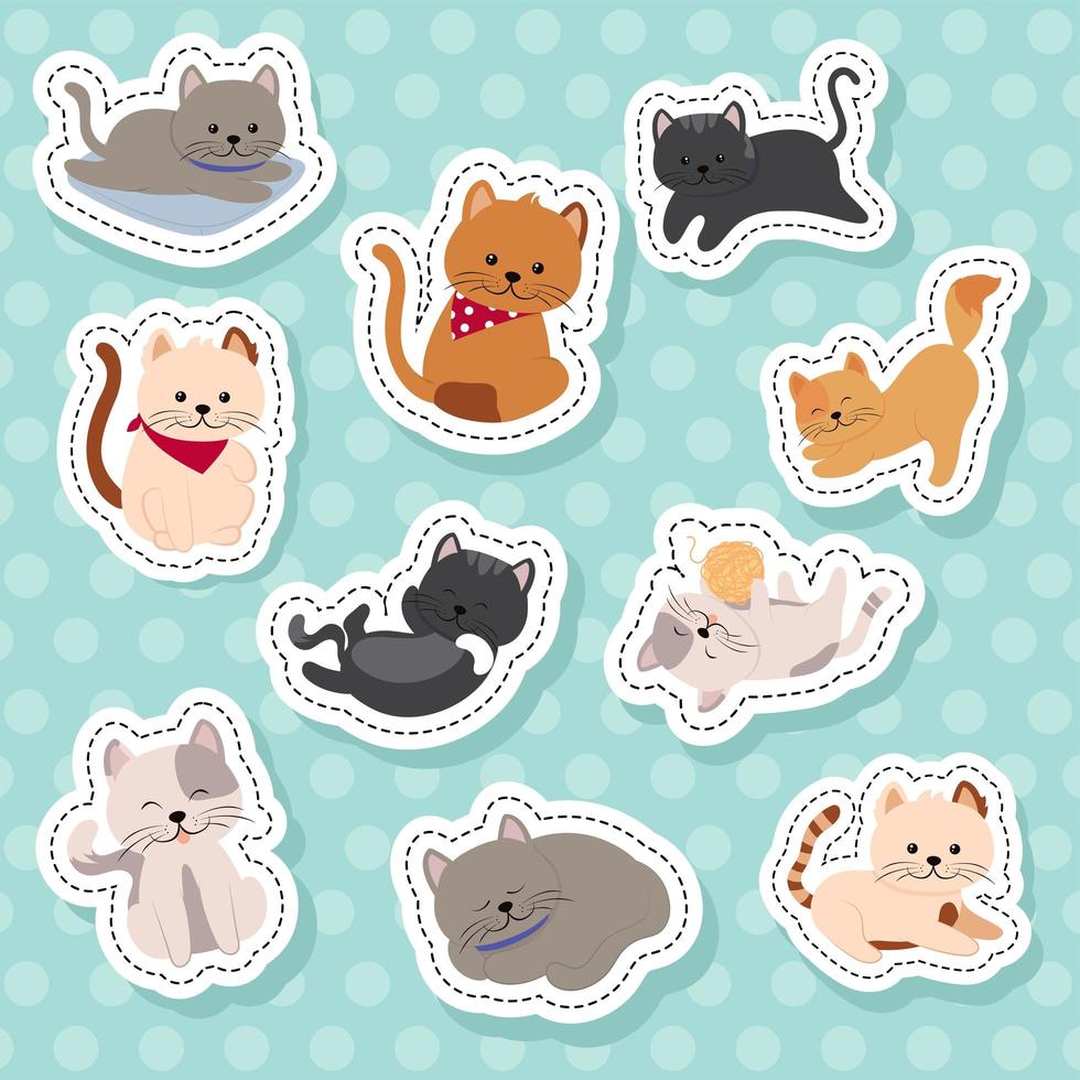 set stickers cats vector