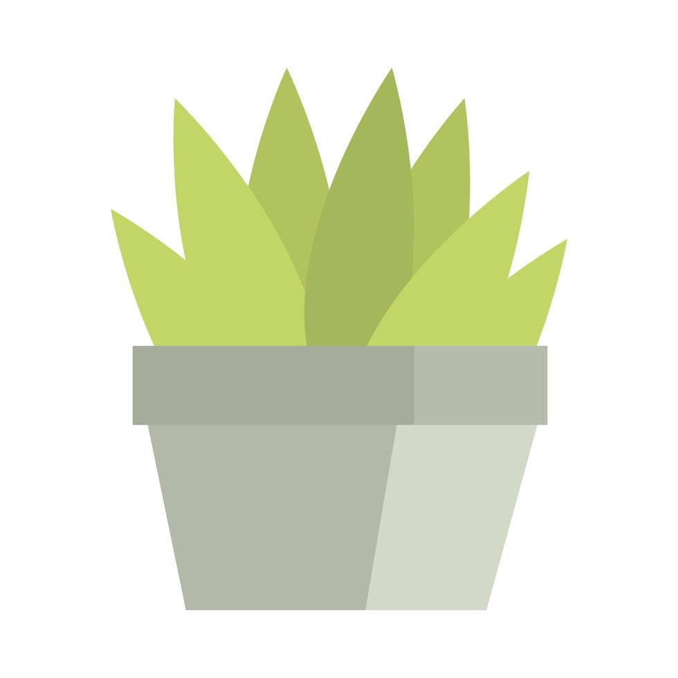 plant in pot vector