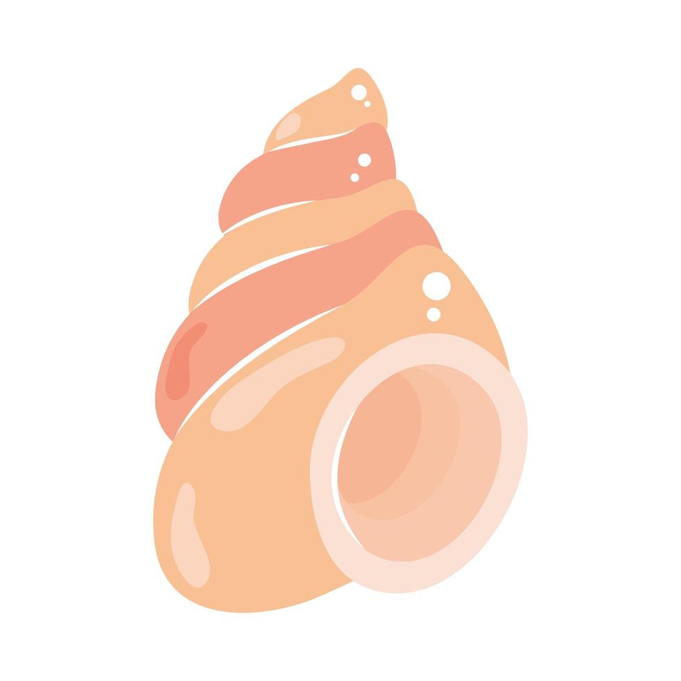 nautilus shell icon vector