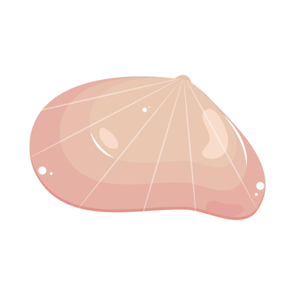 seashell icon flat vector