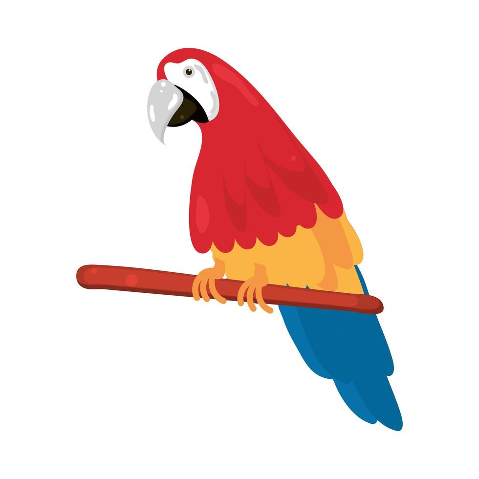 guacamayo en rama vector