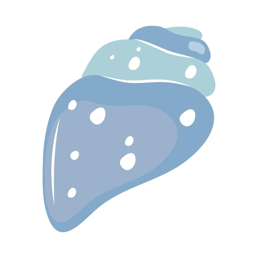 shell sea icon vector