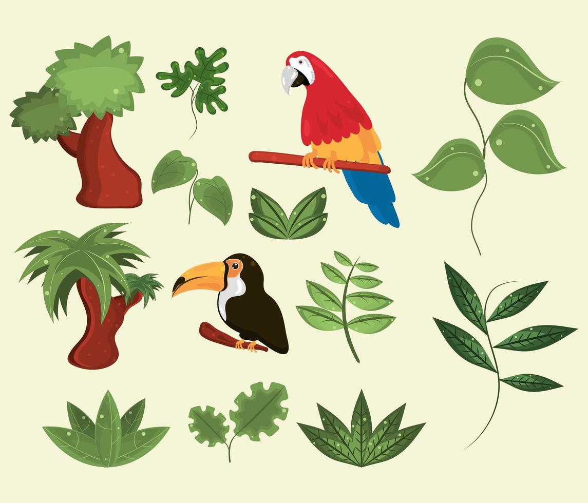 conjunto de naturaleza de la selva vector