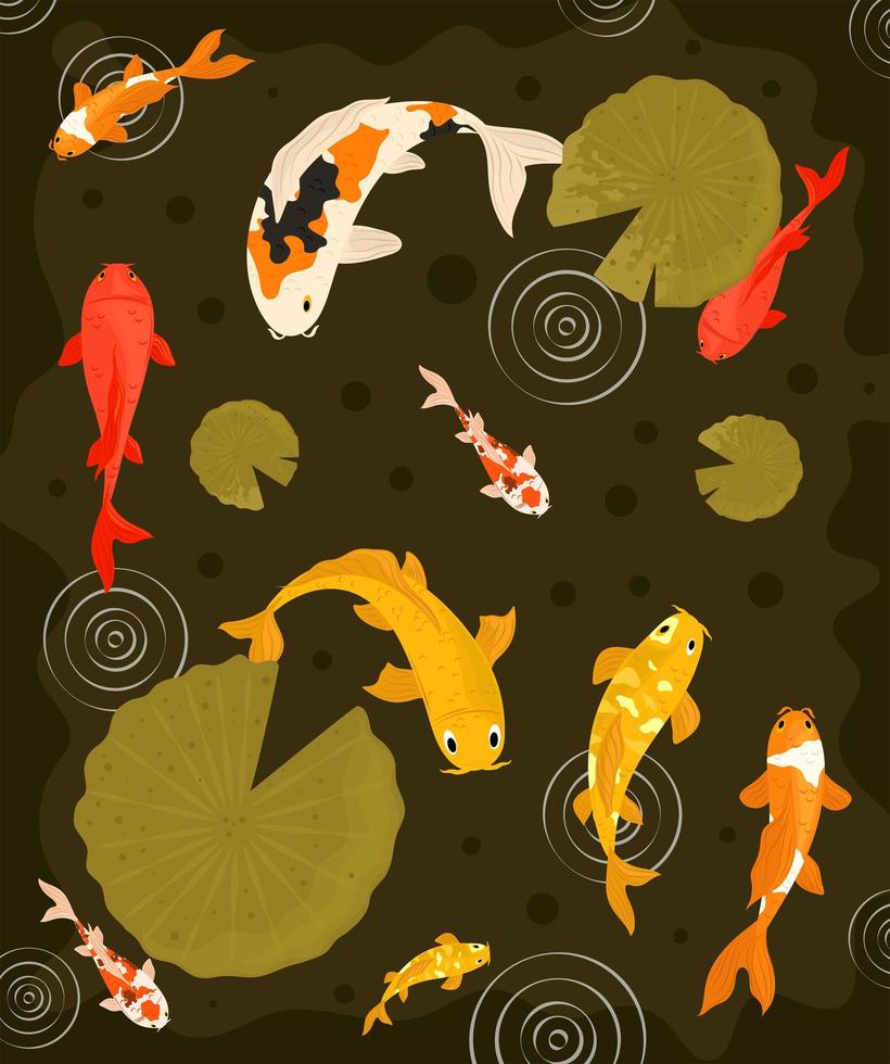 koi fishes pattern vector