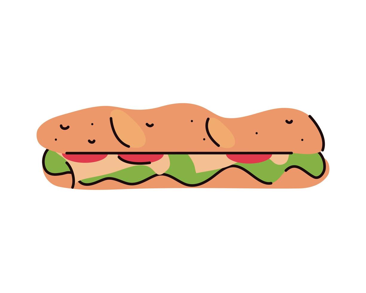 sandwich fast food vector