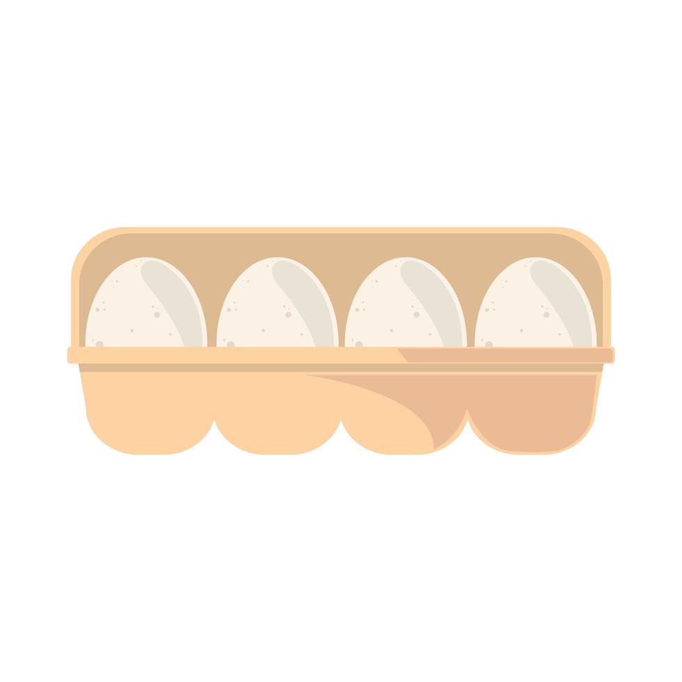 eggs package product vector