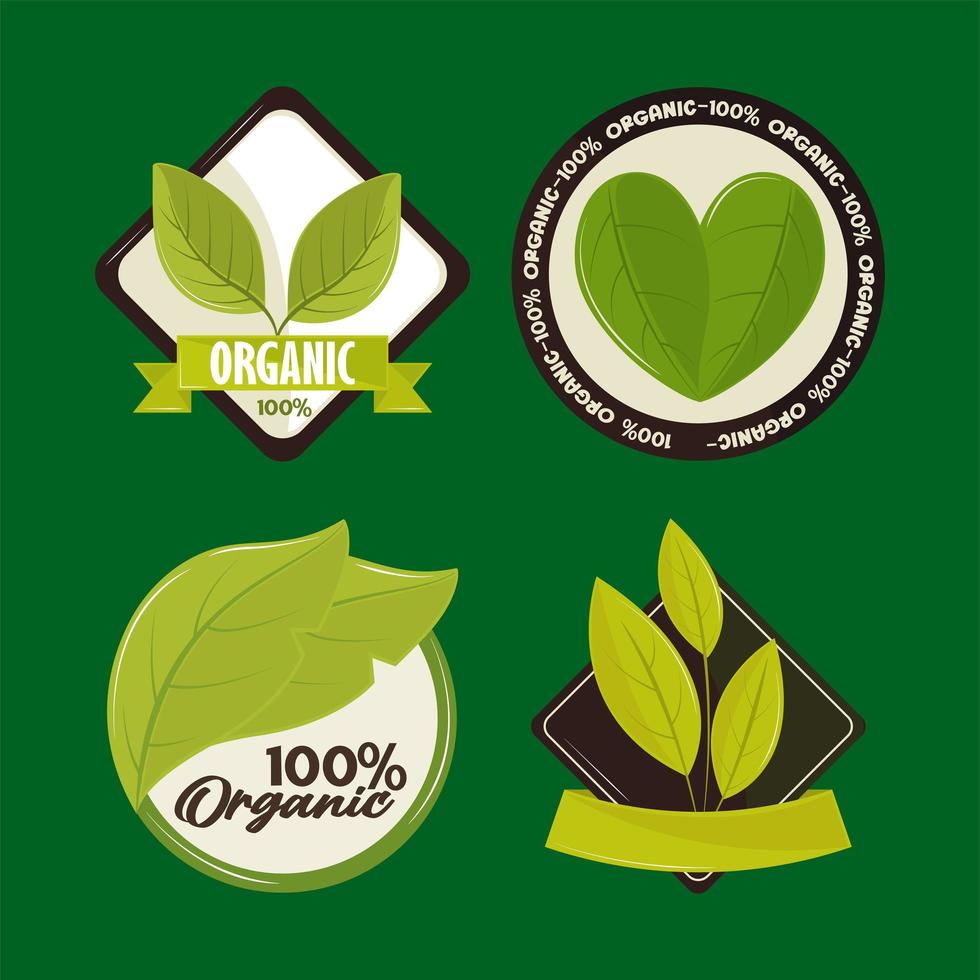 food organic labels vector
