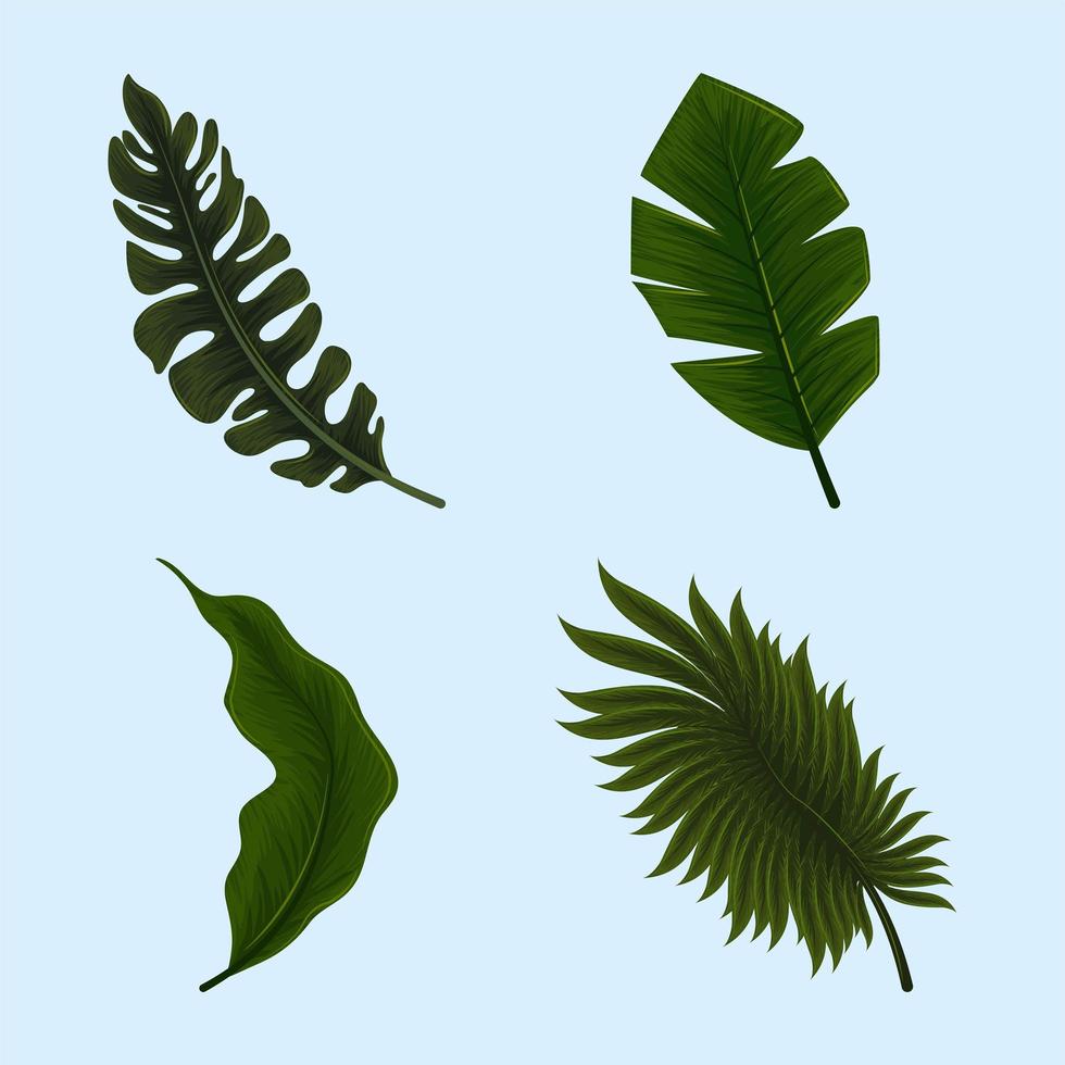 icons jungle leaves vector