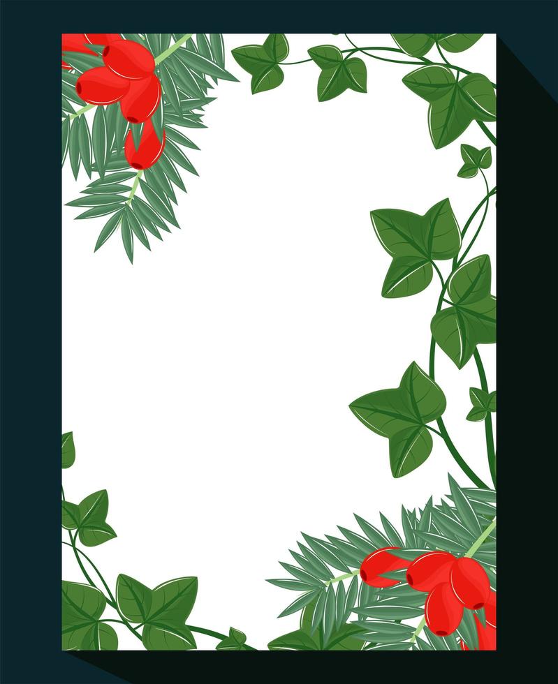 mistletoe leaf frame vector