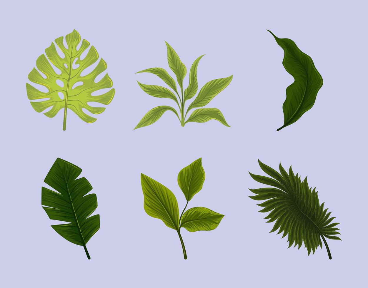 set of jungle leaf vector