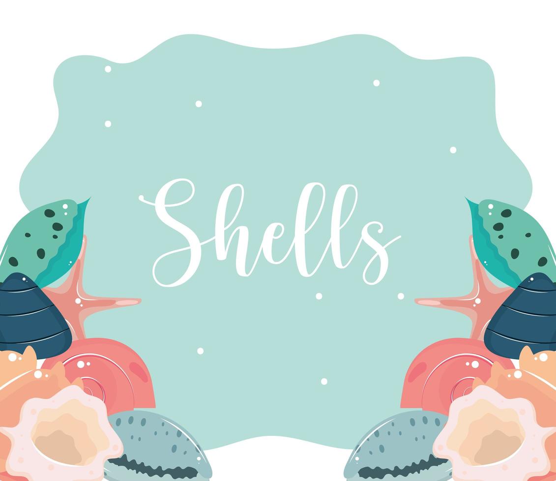 shells sea marine vector