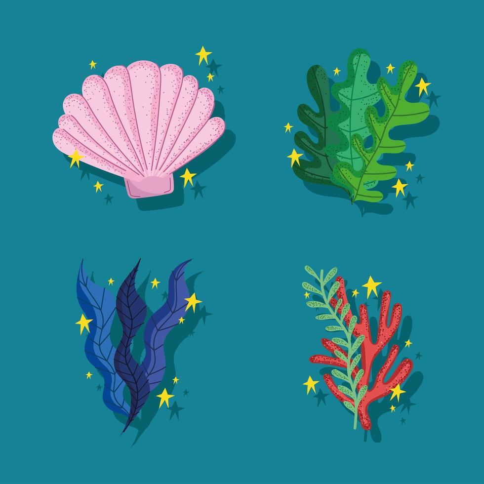 icons seaweed and shell vector