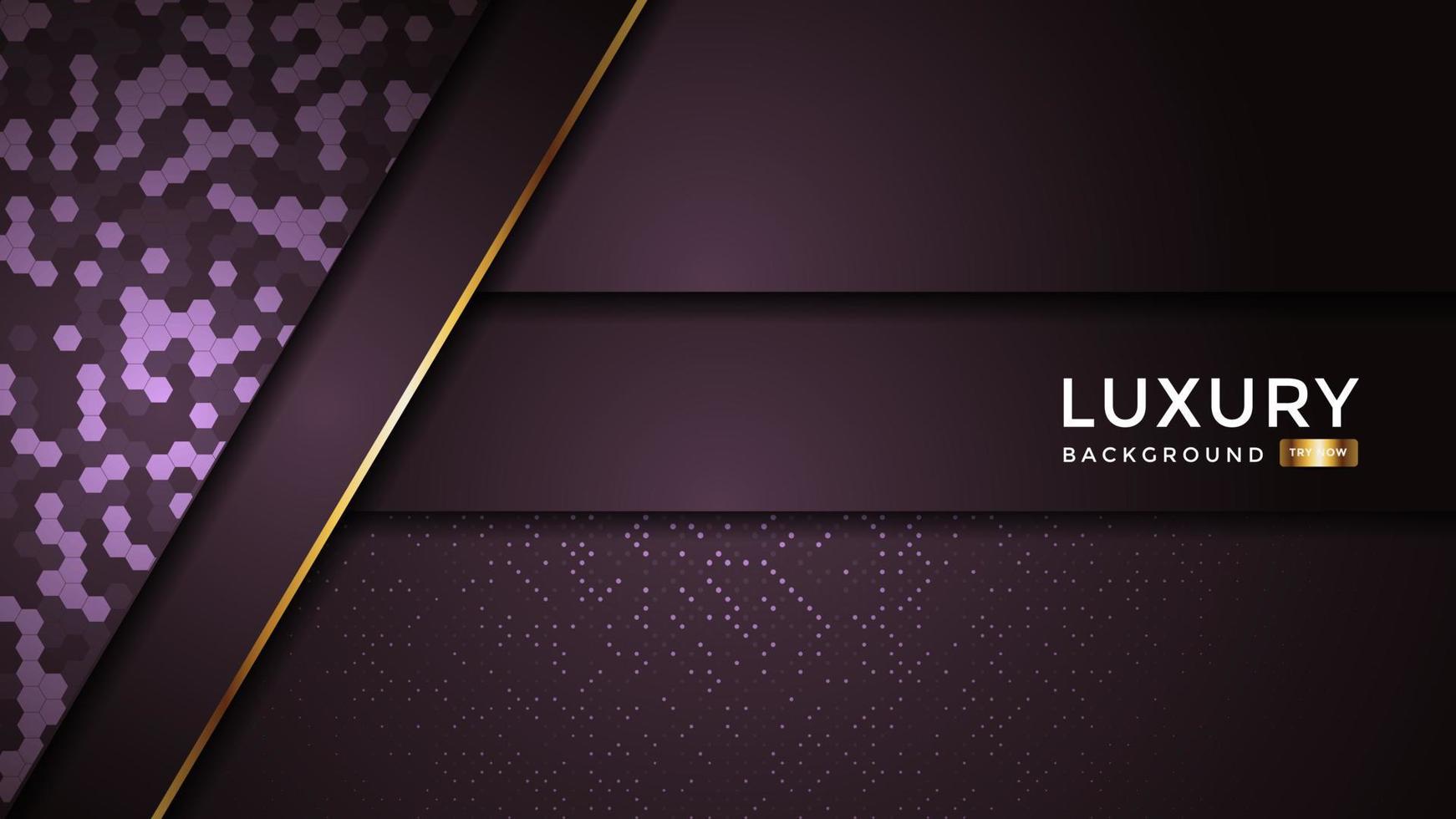 Premium luxury background with overlap layer background and patter on background. Vector premium background. Eps10
