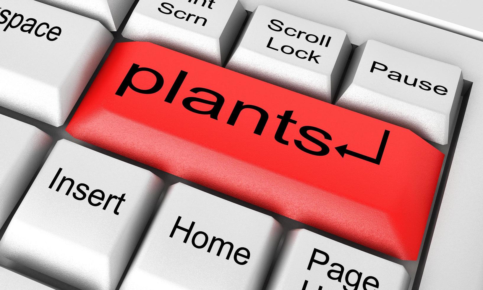 palabra de plantas en el teclado blanco foto