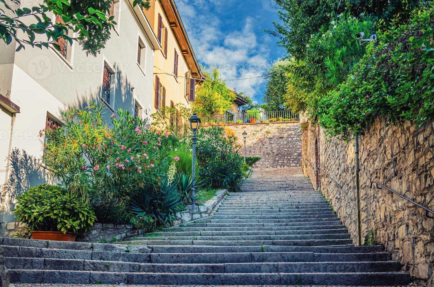 Cobblestone staircase with stairs, green trees, bushes and flowers, street lights photo