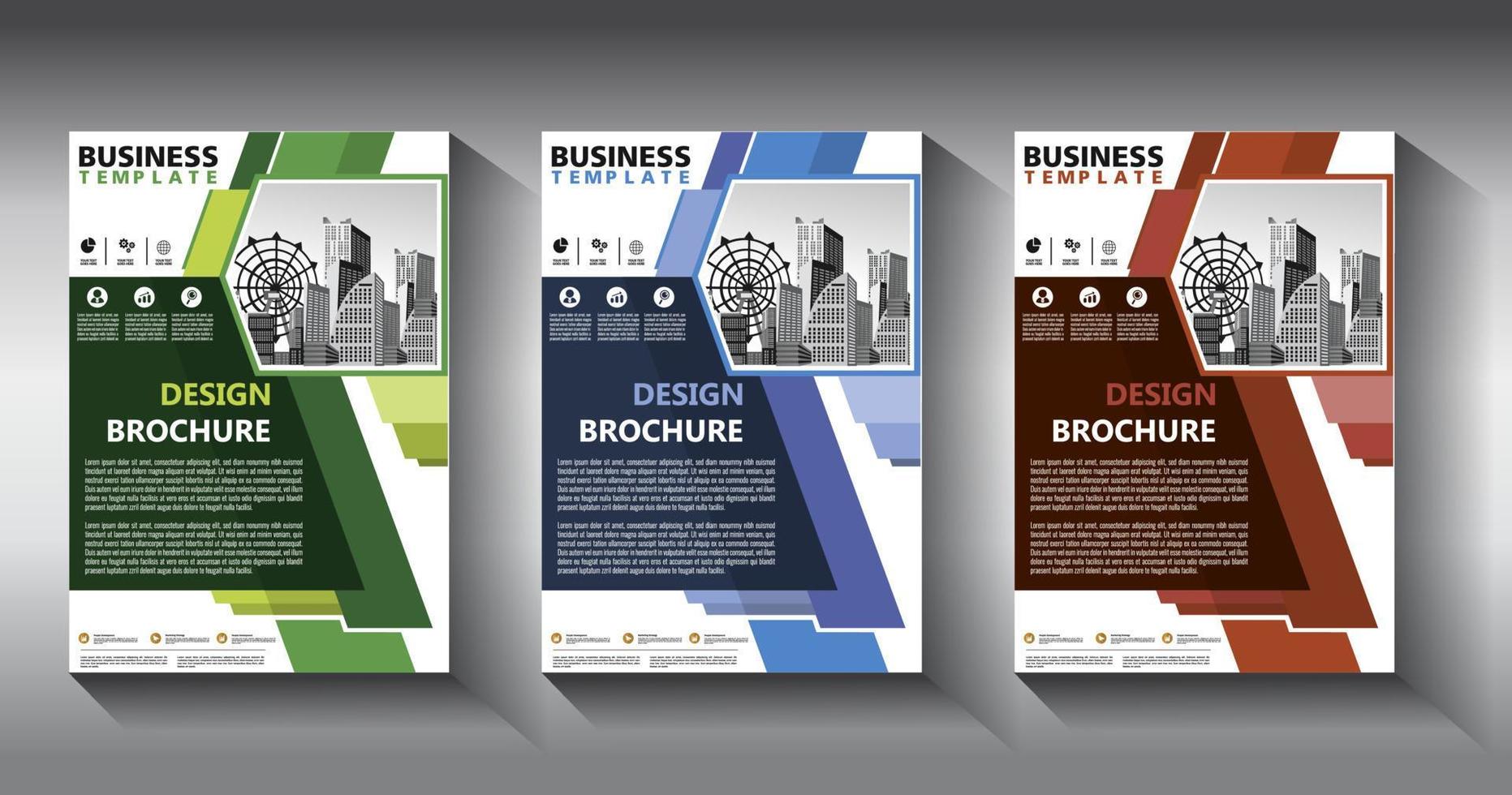 flyer business template brochure layout annual report vector