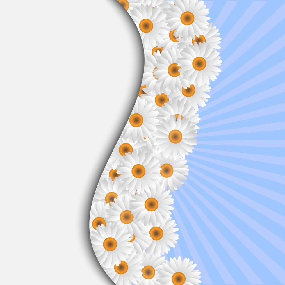 White Camomile card vector