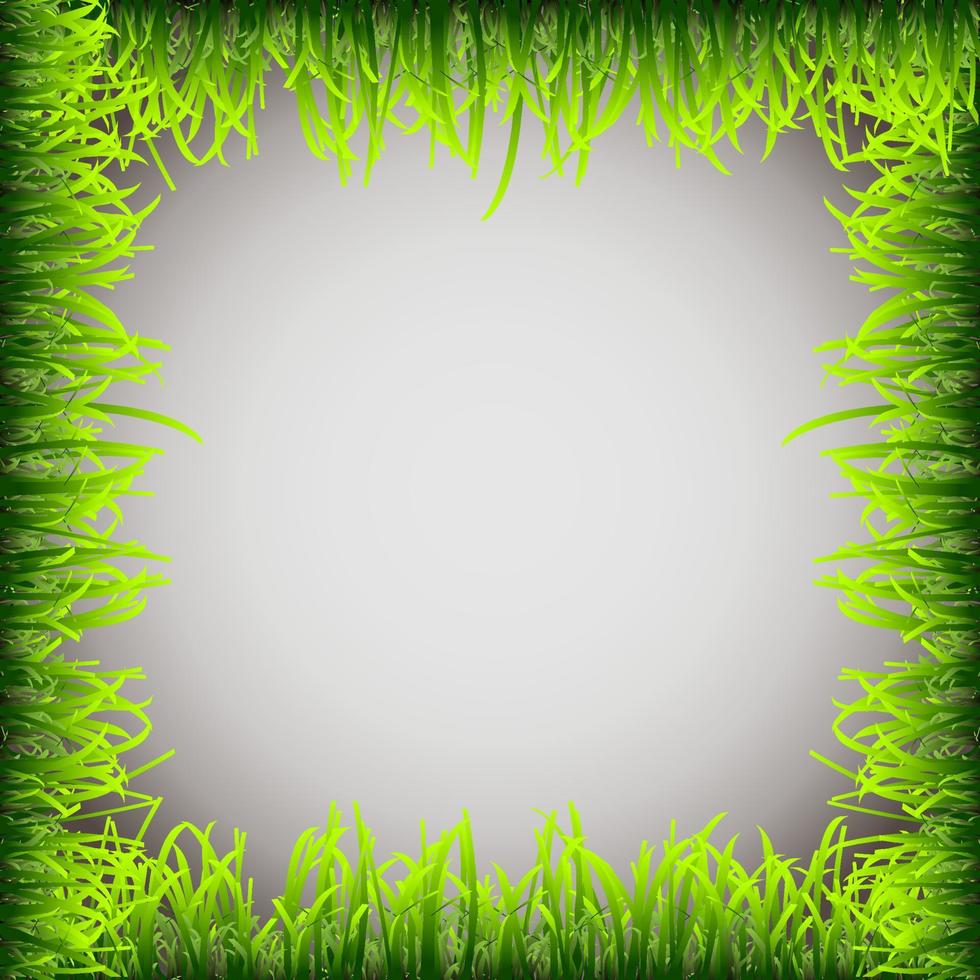 Grass frame, border vector