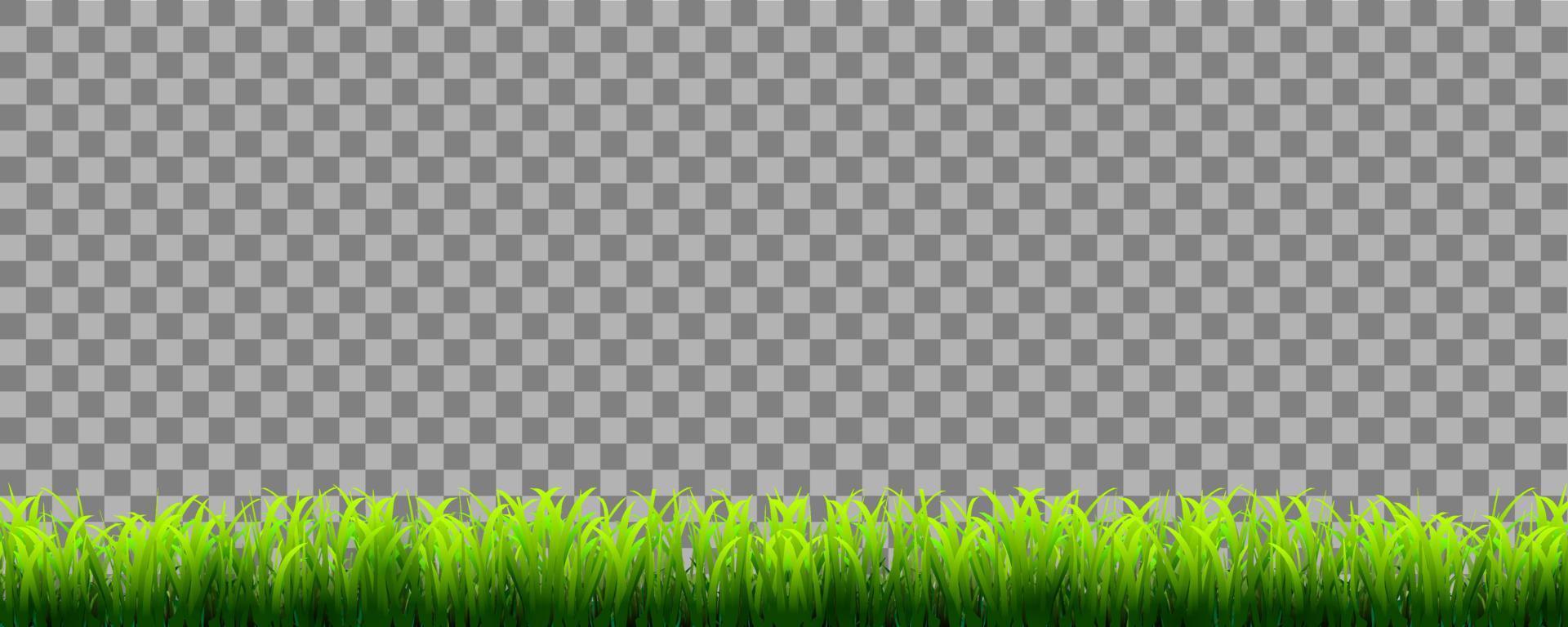 Green realistic grass border isolated on transparent background vector