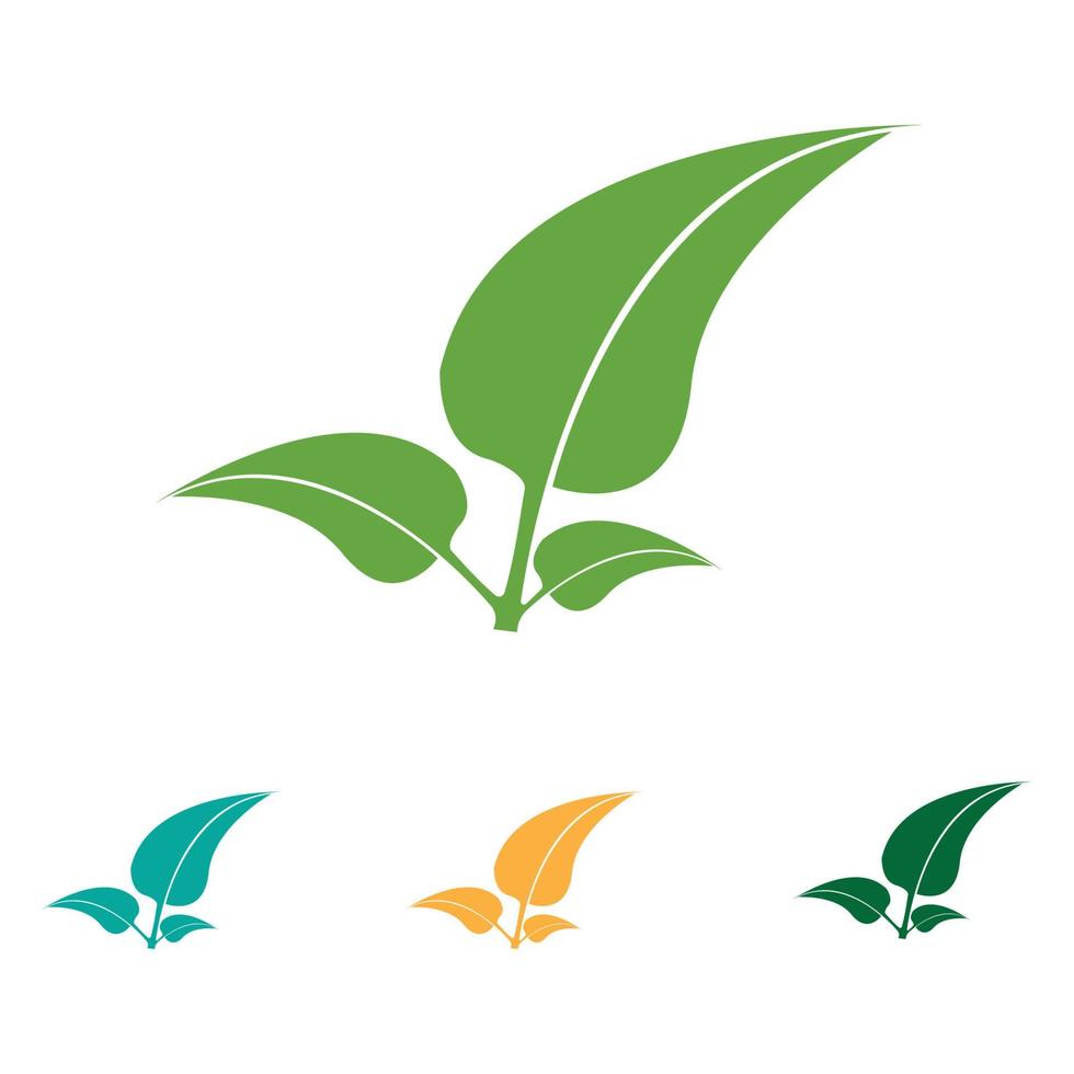 Logos of green Tree leaf ecology vector