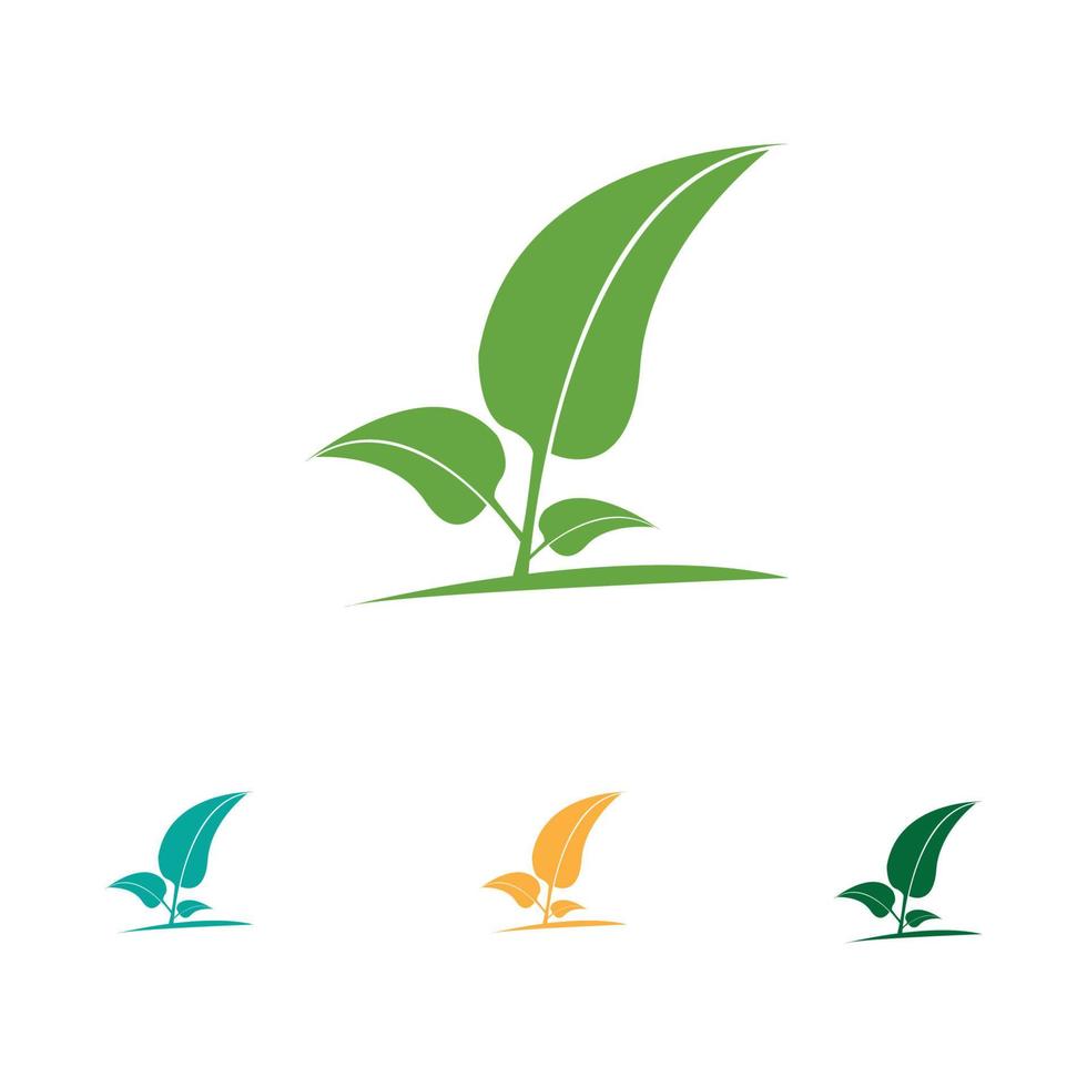 Logos of green Tree leaf ecology vector