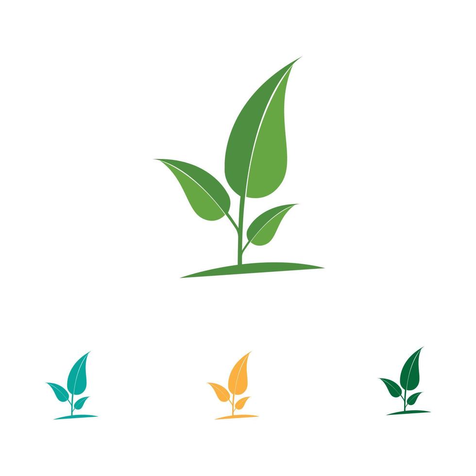 Logos of green Tree leaf ecology vector