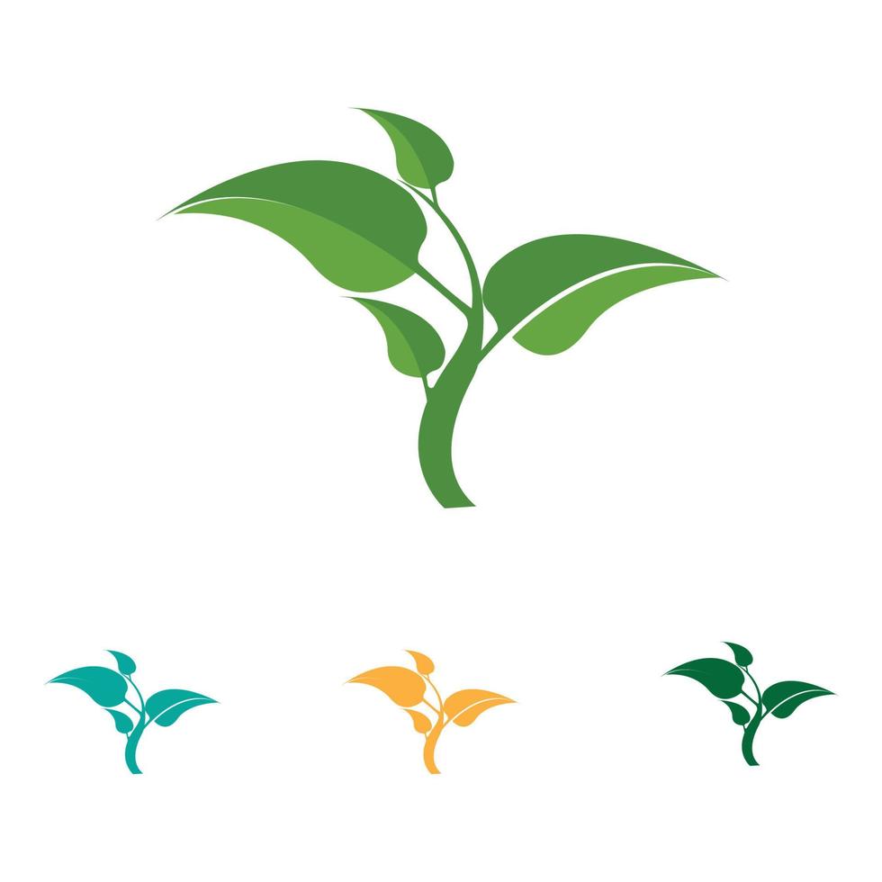 Logos of green Tree leaf ecology vector