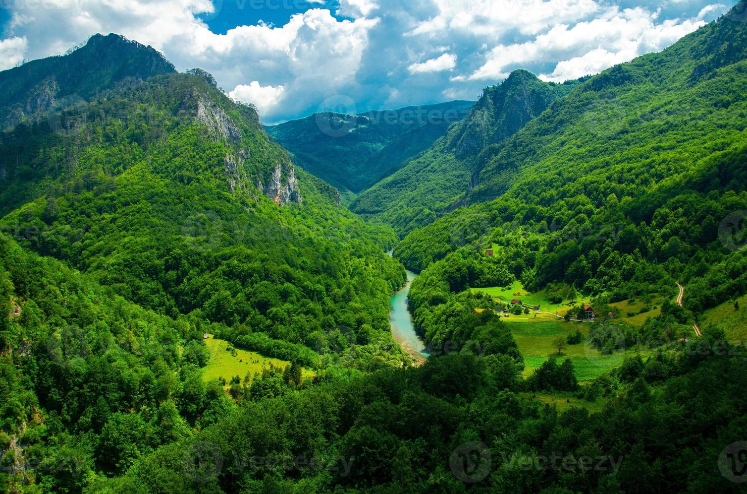 Mountain range and forests of Tara river gorge canyon, Montenegro photo