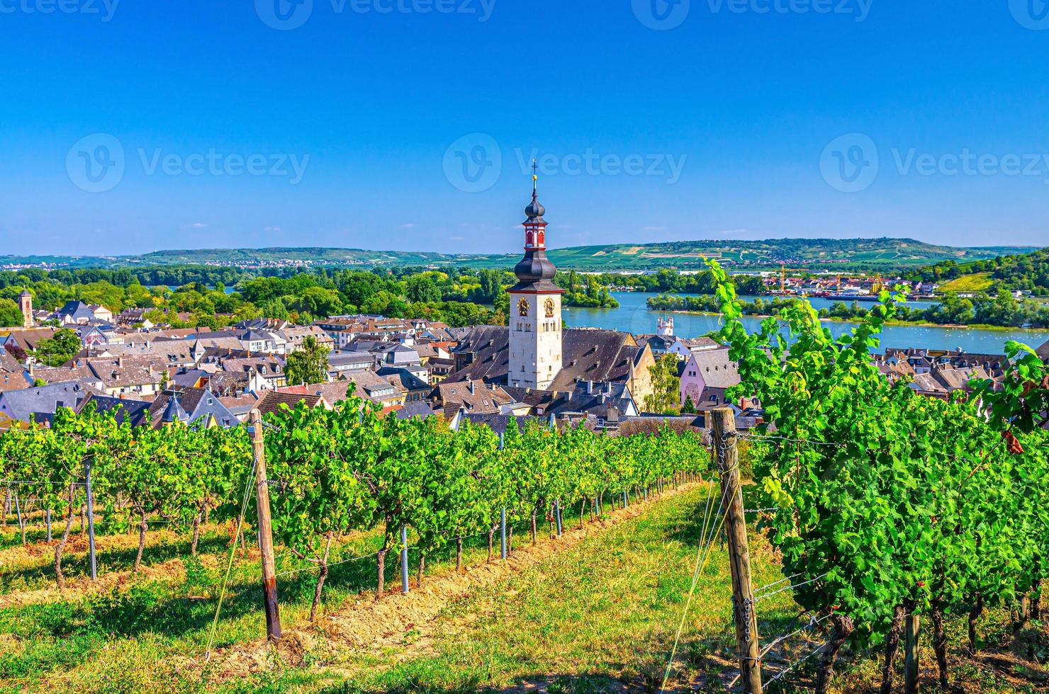 vista aérea de los viñedos de la región vinícola de rheingau, rudesheim am rhein centro histórico de la ciudad foto
