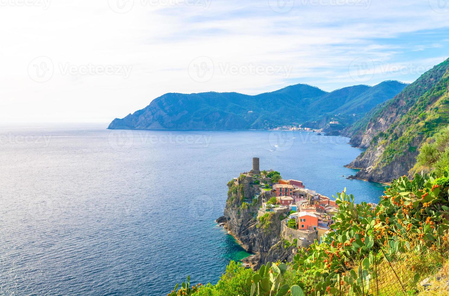 Top aerial view of Vernazza typical village with colorful buildings houses photo